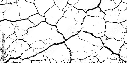 Generate an image depicting a stark, high-contrast texture of a cracked surface, emphasizing the intricate network of fissures. The cracks should be prominent and dark against a light.
