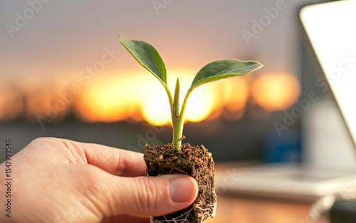 A small green sprout with soil rests in a human hand against a glowing sunset sky, with soft focus and warm golden light
