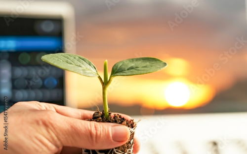 A small green sprout with soil rests in a human hand against a glowing sunset sky, with soft focus and warm golden light