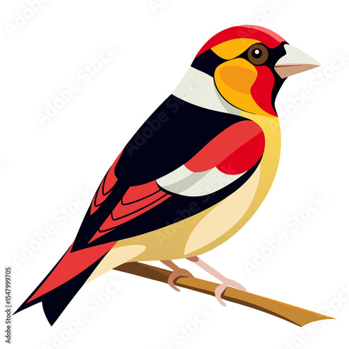 Carduelis carduelis subulata Vector Illustration – Light-Toned Songbird Clipart