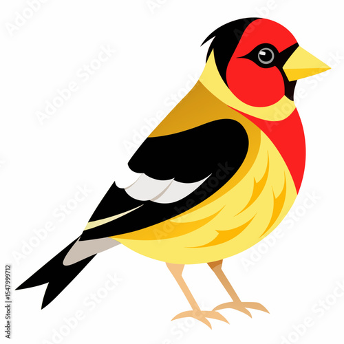 Vector Illustration of Eastern Goldfinch – Delicate Bird with Bright Plumage