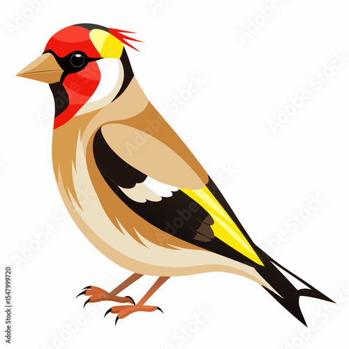 Eastern Goldfinch Vector Illustration – Elegant Wild Songbird with Yellow Wings
