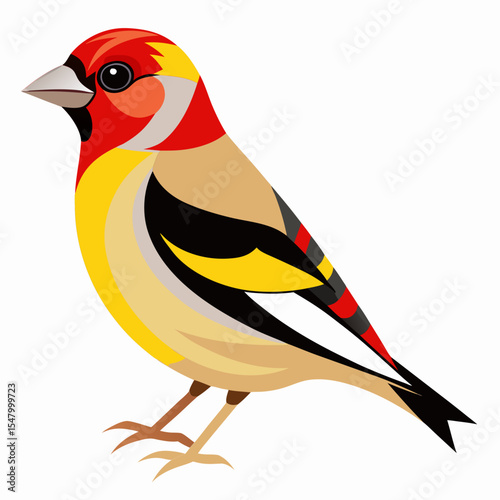 Subulata Goldfinch Vector Illustration – Small Finch with Red Head and Pale Body
