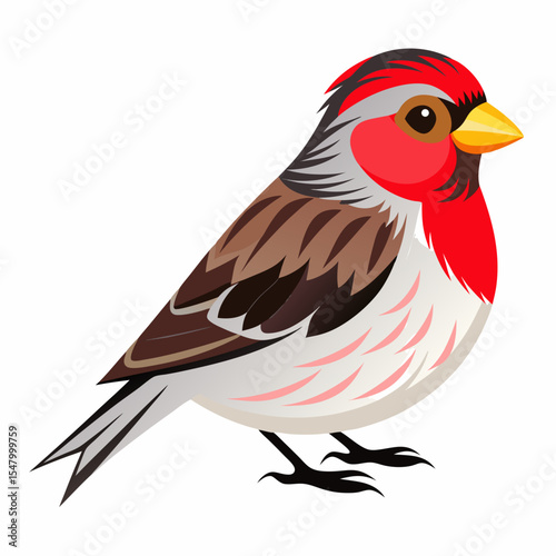 Eastern Goldfinch Vector Illustration – Red-Faced Finch with Subtle Color Variations
