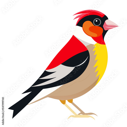 Carduelis Subulata Vector Illustration – Eastern Subspecies of European Goldfinch