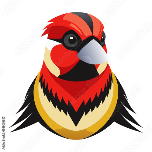 Vector Illustration of Tschusii Finch – Warm-Toned Goldfinch with Black and Yellow Wings