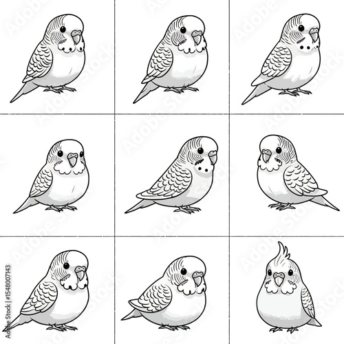 A Collection of Budgies Illustrations Depicting Multiple Types of the Bird with Varied Plumage and Pose in Diverse Arrangements