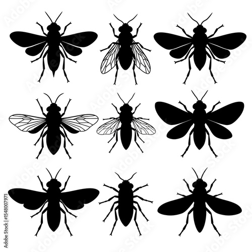 Exploring the World of Insect Diversity A Guide to Various Bug Species and Their Unique Characteristics