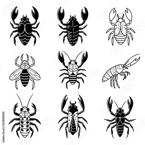 Variety of Crustaceans Depicted in Hand Drawn Illustrations of Different Species with Unique Characteristics and Anatomical Features