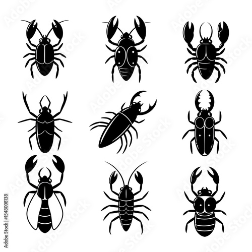 Exploring the World of Beetles A Comprehensive Guide to Identification Classification Behavior and Significance Across Various Ecosystems