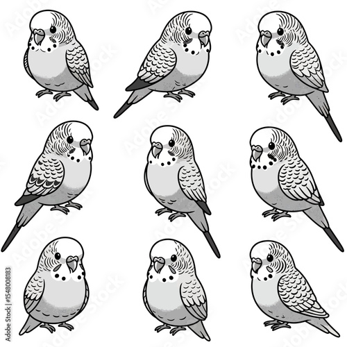A Flock of Feathered Friends an Exploration of Budgerigar Behavior in Captivity and Natural Habitats Plus Insights Into Avian Biology