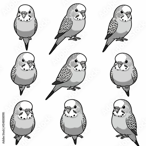 Exploring Budgerigar Behavior A Comprehensive Guide to Understanding and Caring for Your Feathered Friend Its Unique Traits and Needs