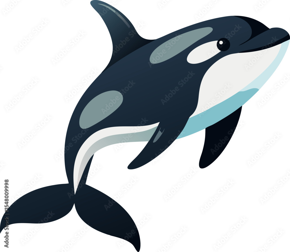 Naklejka premium vector illustration of a Orca