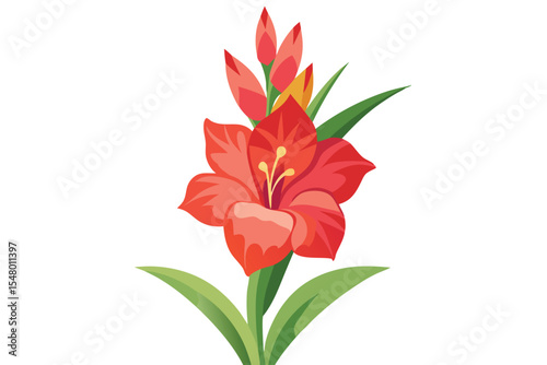Vibrant Red Gladiolus Flower Illustration A Stunning Floral Design