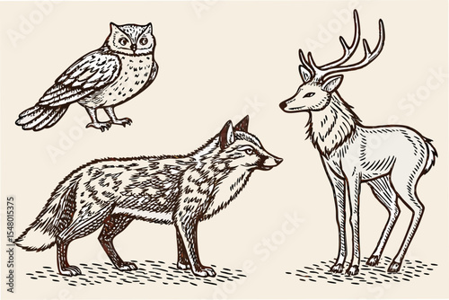 Wallpaper Mural Hand drawn forest animals fox and owl illustration set Torontodigital.ca