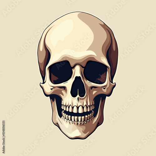 Human skull illustration with detailed features on neutral background  