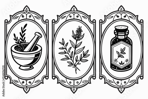 50 vintage apothecary labels retro pharmacy design set