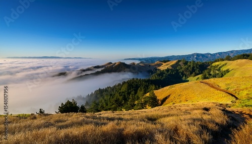 beautiful flowing fog on mt tamalpais california