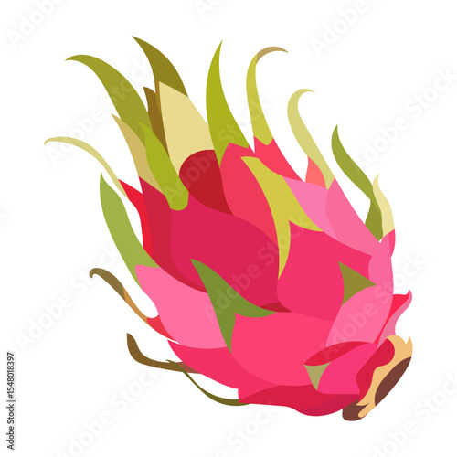 Vector illustration of dragonfruit on white background.
