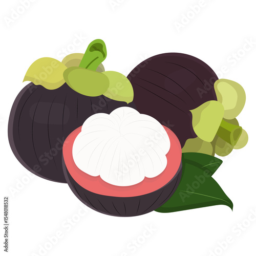 Vector illustration of a mangosteen fruit, one cut open to reveal white flesh and red skin surrounded by green leaves on a white background.
