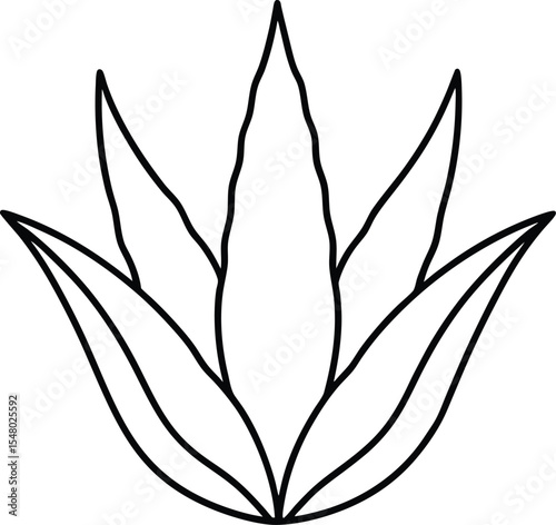 aloe vera icon line art vector illustration on transparent background