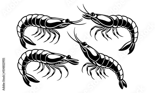 Highly Detailed Black and White Shrimp Illustrations in Vector Style