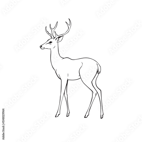 A deer profile sketch isolated on white background