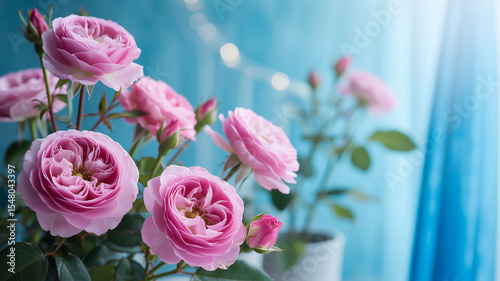 A soft, dreamy photograph of pink roses against a bright turquoise blue background