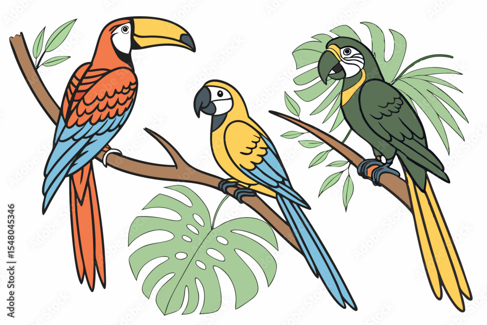 Obraz premium --vector-set-set-of-exotic-birds--toucans--macaws-
