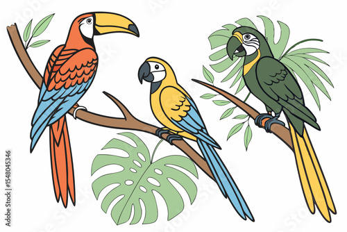 --vector-set-set-of-exotic-birds--toucans--macaws-