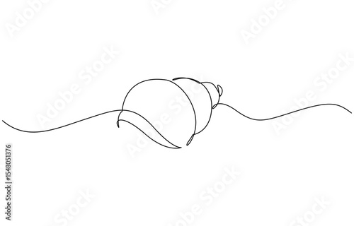 Continuous line drawing of conch snail shell. Single line illustration of ocean conch shell, Snail continuous one line drawing isolated on white background.