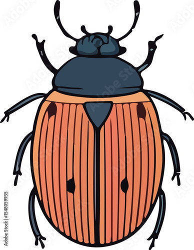 colorado potato beetle