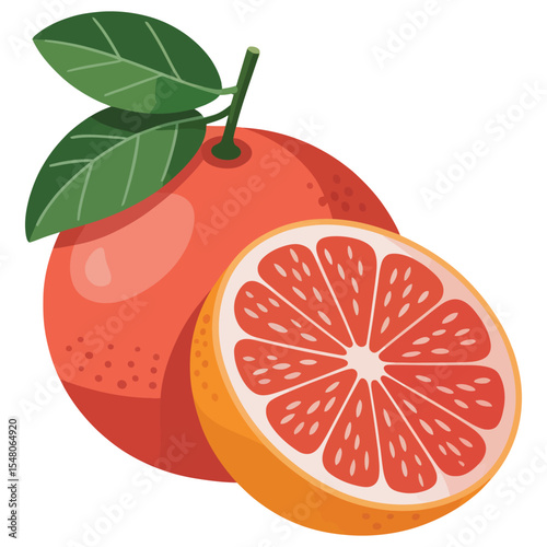 vector illustration of an orange