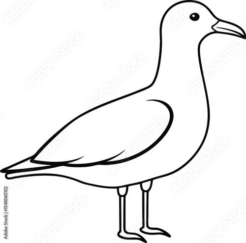 seagull icon line art vector illustration on transparent background