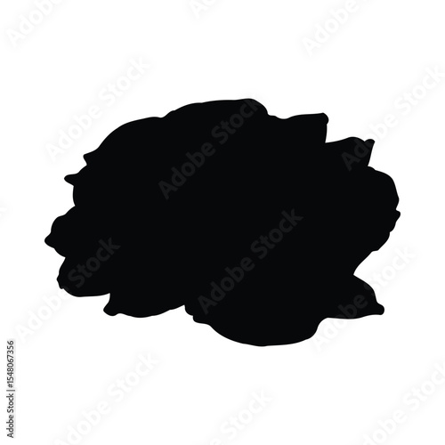 Black silhouette of fresh green cardamom pods isolated on white background spice ingredient