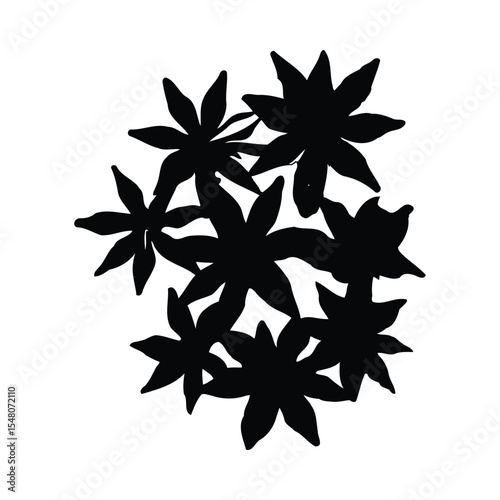 Black Star Anise Spice Group Silhouette Isolated on White Background Culinary Food Ingredient