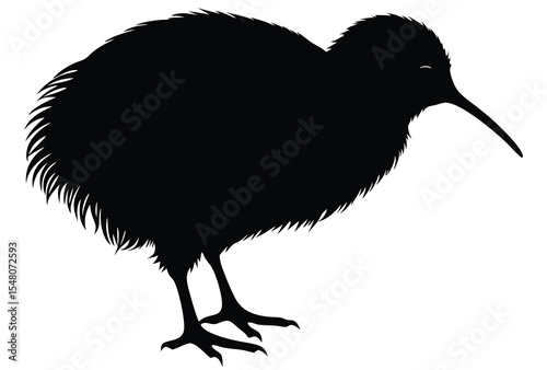 Kiwi bird silhouette vector simple flat design icon isolated on white background