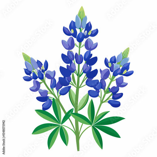 forget me not flowers