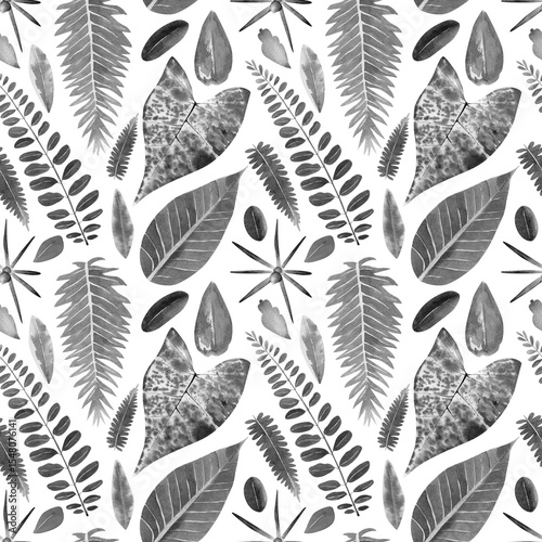 Tropical leaves background. Seamless watercolor pattern with black and white botanical illustration with protea, palm, banana, acacia leaf