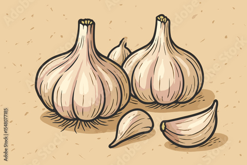 Garlic bulbs and cloves hand drawn vector illustration, organic vegetable food, fresh produce cartoon, rustic kitchen background, whole and peeled garlic, natural textured paper backdrop