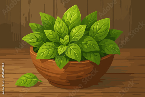 A bunch of fresh green basil leaves in a rustic wooden bowl on a wood table. Vector illustration of a culinary herb, an organic ingredient for pesto and Italian cooking.