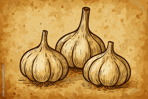 Hand Drawn Garlic Bulbs Vintage Illustration. Retro Food Sketch. Rustic Spices Vegetable Design on Old Paper Texture. Culinary Herb Botanical Vector. Natural Organic Farm Harvest Ingredient Art