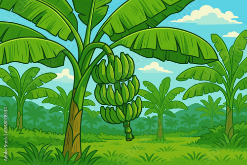 Lush green banana tree with big unripe fruit clusters growing on tropical plantation, vibrant cartoon landscape, exotic jungle foliage, agricultural farming, summer nature vector illustration