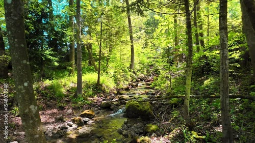 A peaceful mountain stream winds through a sunlit forest with rocks and moss-covered banks. The lush green trees and crystal-clear water create a calming natural scene, perfect for hiking or nature