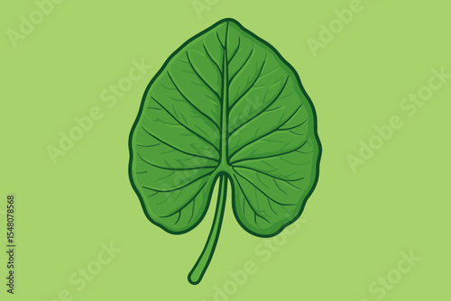 Vibrant Green Colocasia Leaf Detailed Texture Botanical Vector Illustration. Fresh Tropical Foliage Isolated on Natural Light Background. Decorative Plant Element for Eco Nature Design Concepts