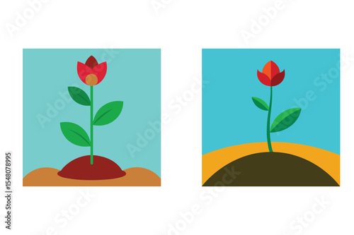 Two red flowers growing in different soils