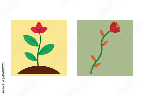 Simple red flower plant growth stages illustration