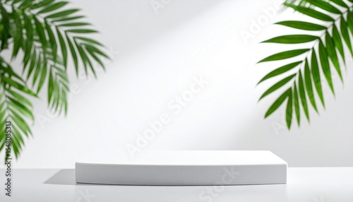 palm tree in a white room