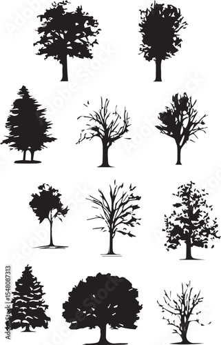 Big Tree plant black and white 