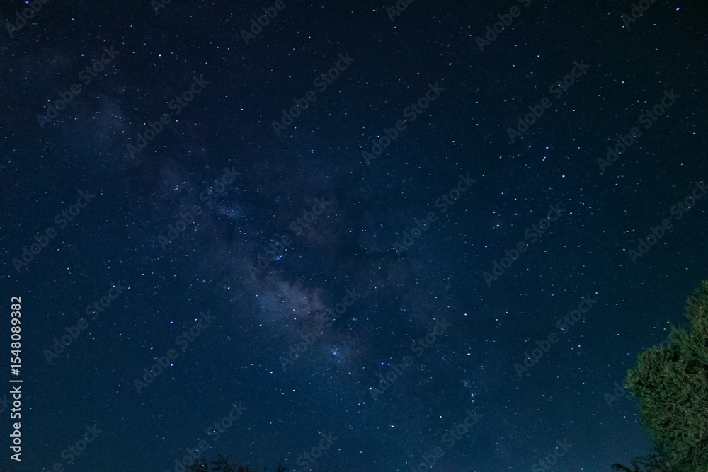 Fototapeta premium Starry night sky with the milky way